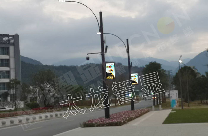 廣州從化世界生態設計小鎮LED燈桿屏